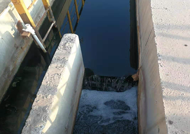 QQ圖片20230221103903